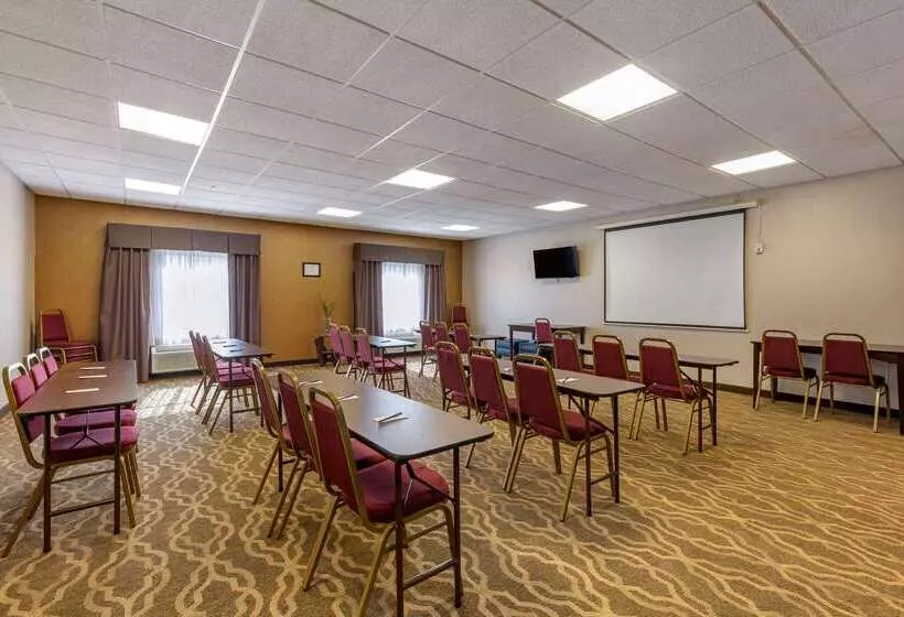 בית מלון כפרי Comfort Suites Perrysburg  Toledo South