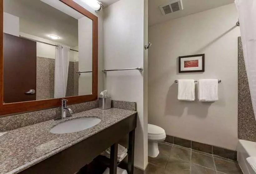 בית מלון כפרי Comfort Suites Perrysburg  Toledo South