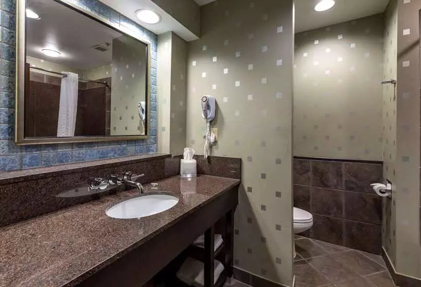 בית מלון כפרי Comfort Suites Perrysburg  Toledo South