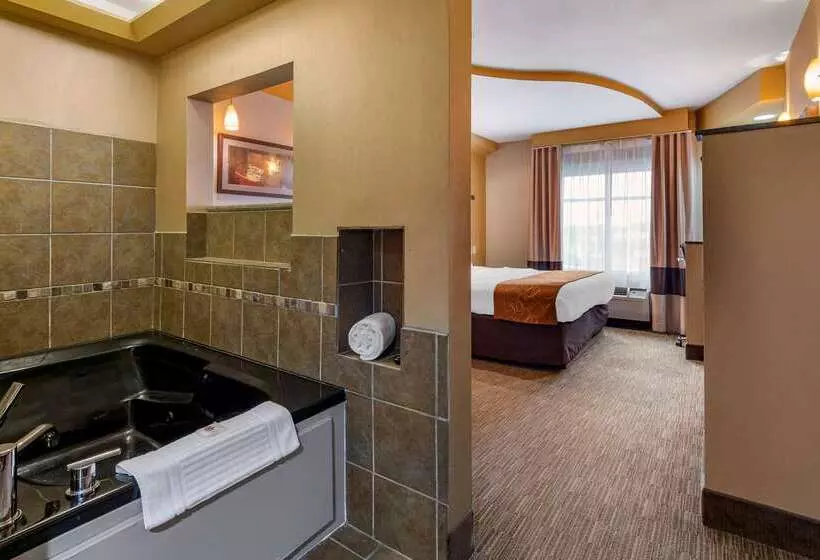 בית מלון כפרי Comfort Suites Perrysburg  Toledo South