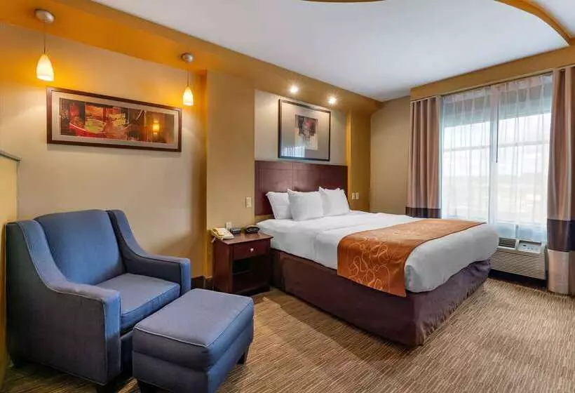 בית מלון כפרי Comfort Suites Perrysburg  Toledo South