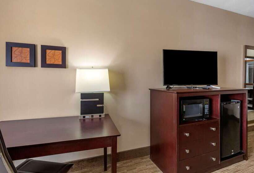 酒店 Comfort Suites Perrysburg Toledo South