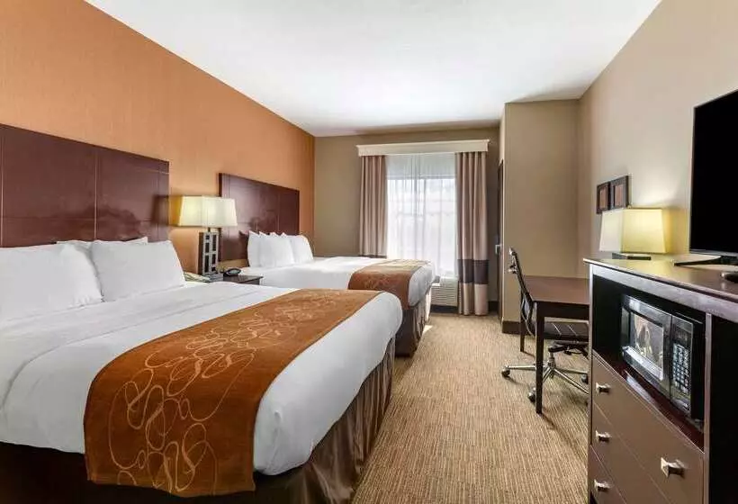 בית מלון כפרי Comfort Suites Perrysburg  Toledo South