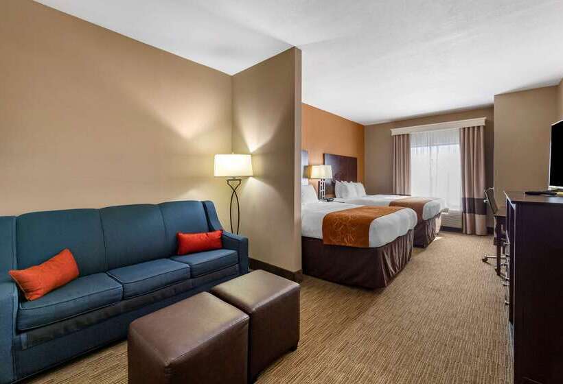 酒店 Comfort Suites Perrysburg Toledo South
