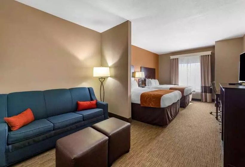בית מלון כפרי Comfort Suites Perrysburg  Toledo South