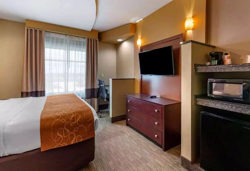 בית מלון כפרי Comfort Suites Perrysburg  Toledo South