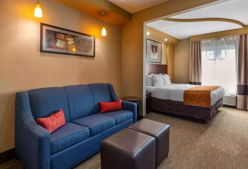 בית מלון כפרי Comfort Suites Perrysburg  Toledo South