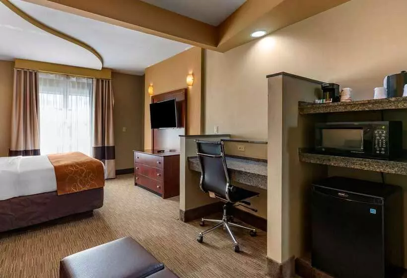 בית מלון כפרי Comfort Suites Perrysburg  Toledo South