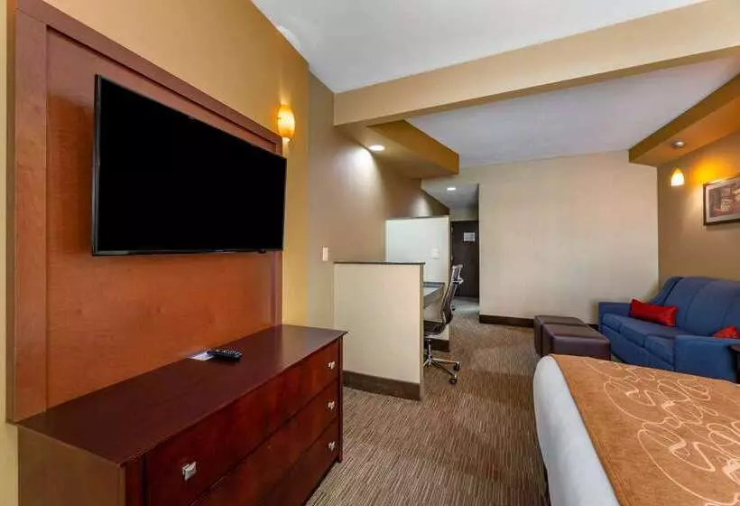 בית מלון כפרי Comfort Suites Perrysburg  Toledo South