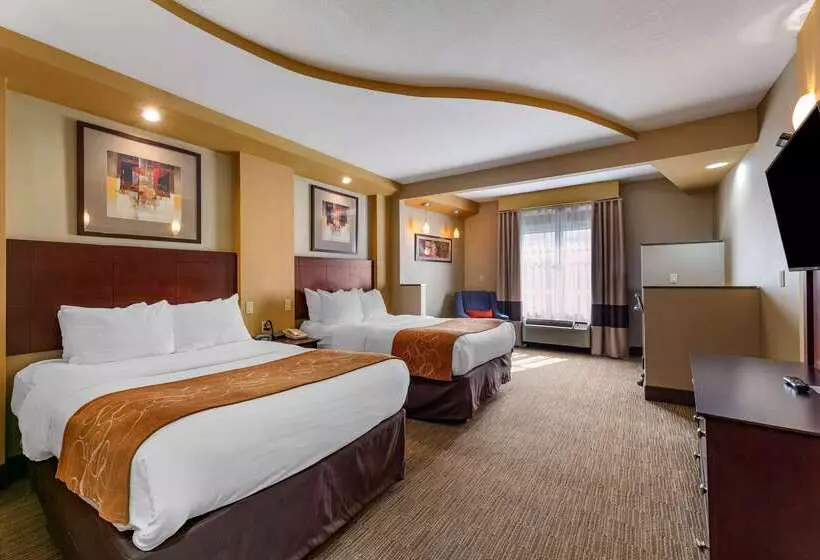 בית מלון כפרי Comfort Suites Perrysburg  Toledo South