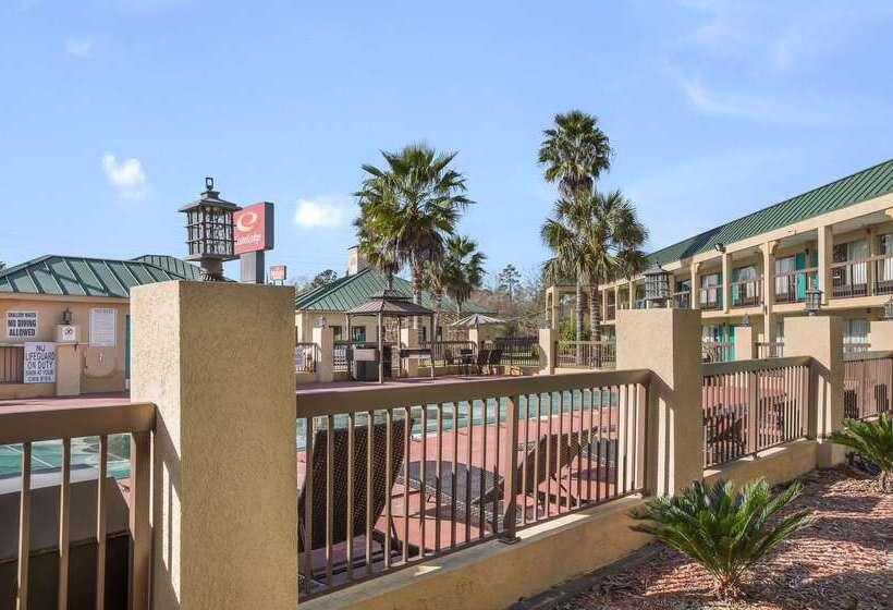 בית מלון כפרי Econo Lodge