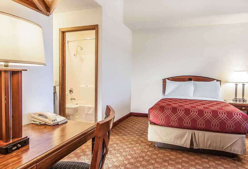 ホテル Econo Lodge Inn & Suites Madras