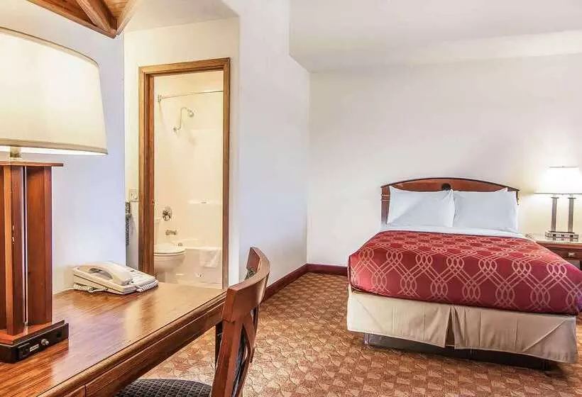 Отель Econo Lodge Inn & Suites Madras