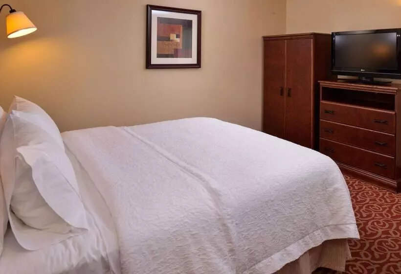 ホテル Hampton Inn By Hilton Lincoln