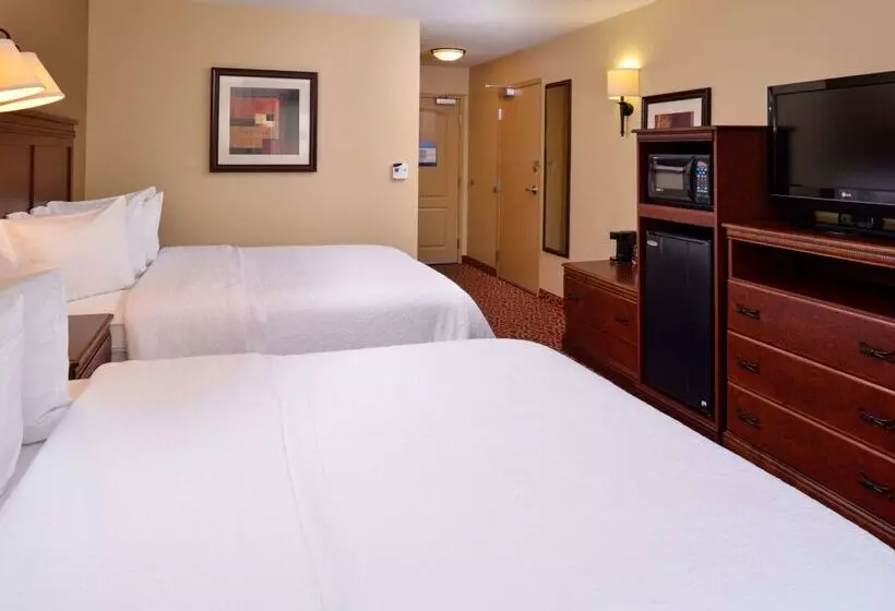 ホテル Hampton Inn By Hilton Lincoln