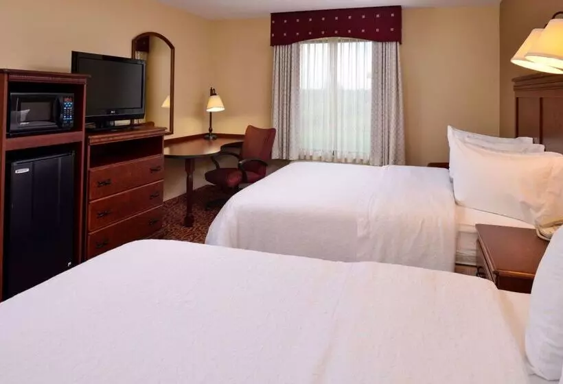 ホテル Hampton Inn By Hilton Lincoln