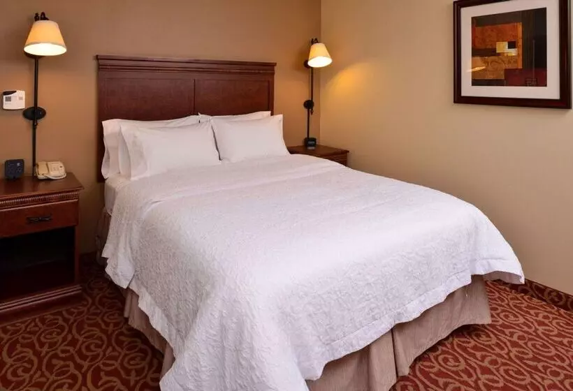 ホテル Hampton Inn By Hilton Lincoln