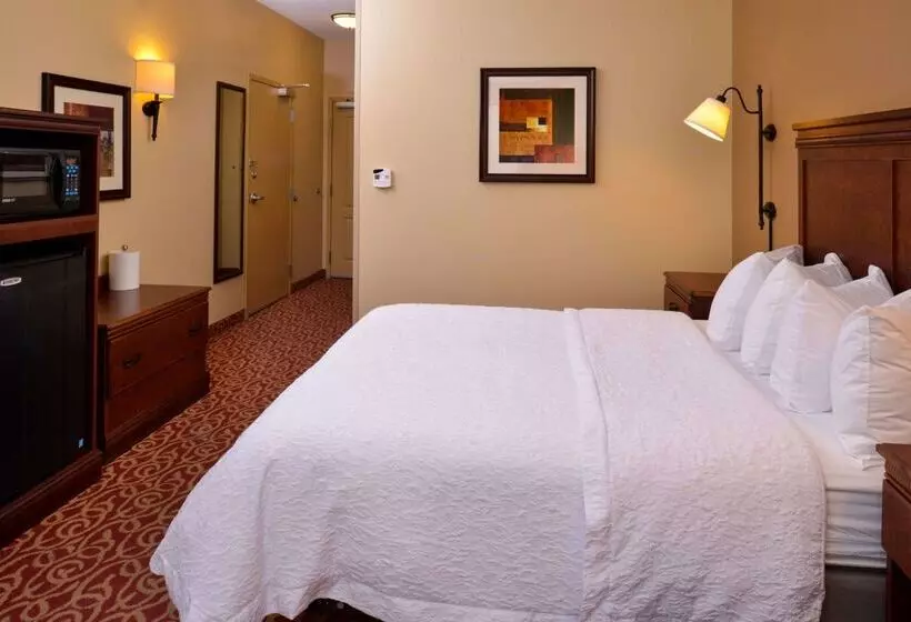 ホテル Hampton Inn By Hilton Lincoln