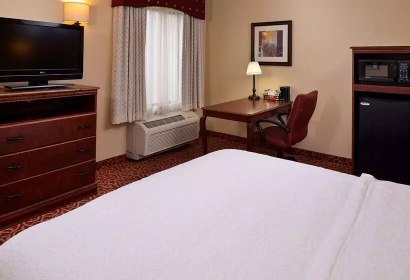 ホテル Hampton Inn By Hilton Lincoln