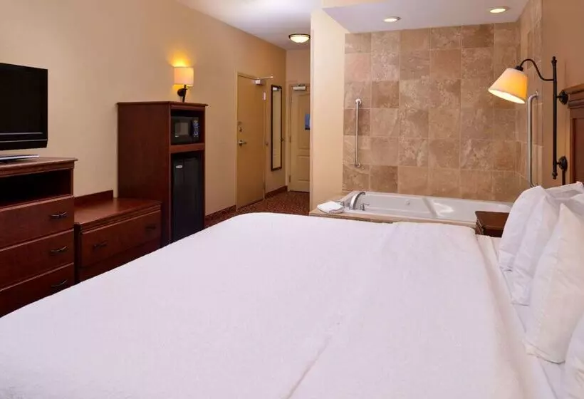 ホテル Hampton Inn By Hilton Lincoln