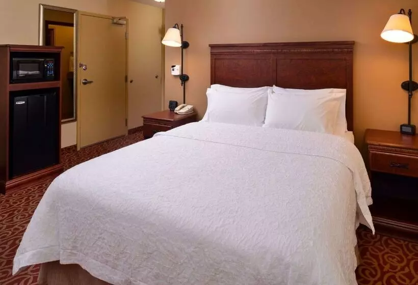 ホテル Hampton Inn By Hilton Lincoln