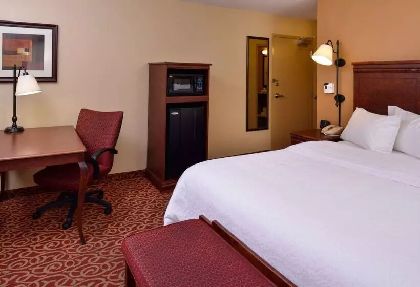 ホテル Hampton Inn By Hilton Lincoln