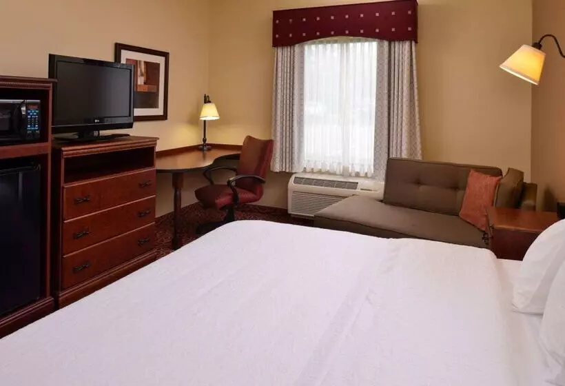 ホテル Hampton Inn By Hilton Lincoln