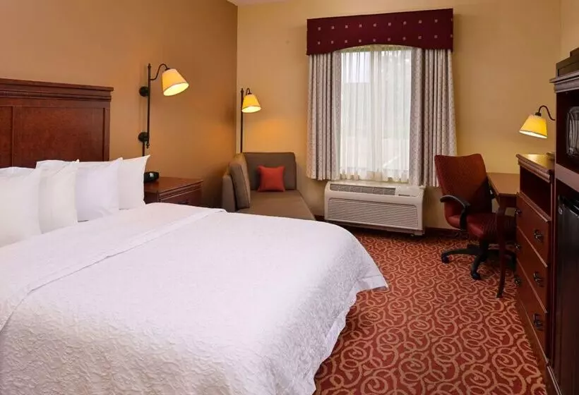 ホテル Hampton Inn By Hilton Lincoln