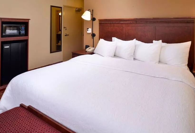 ホテル Hampton Inn By Hilton Lincoln