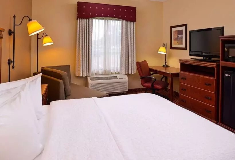 ホテル Hampton Inn By Hilton Lincoln