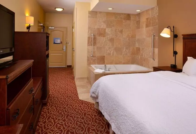 ホテル Hampton Inn By Hilton Lincoln