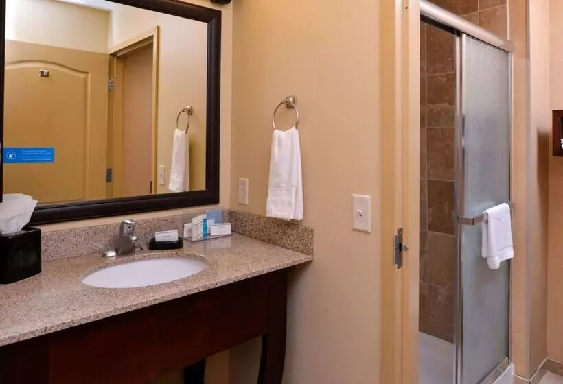 ホテル Hampton Inn By Hilton Lincoln