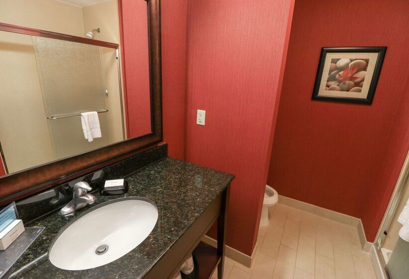ホテル Hampton Inn Lincolnton