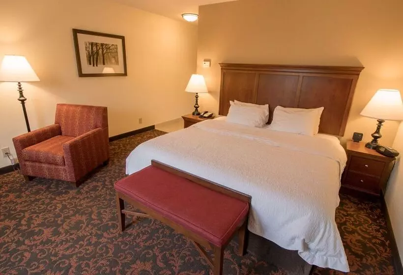 호텔 Hampton Inn Lincolnton
