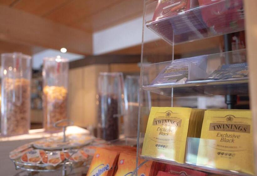 酒店 Hôtel Cristal Swiss Riders Lodge Grimentz