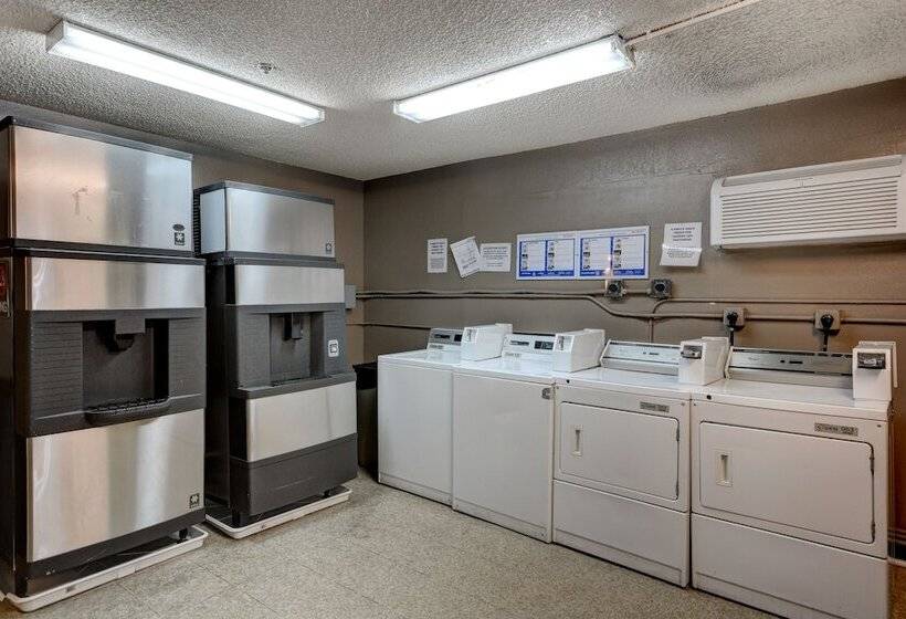 هتل Jefe At Ojos Locos