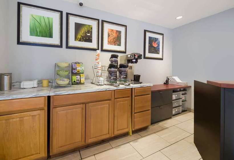 فندق Quality Inn