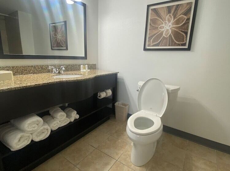 Hotel Wingate By Wyndham Houma