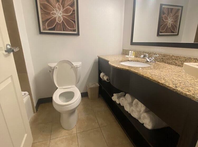 Hotel Wingate By Wyndham Houma