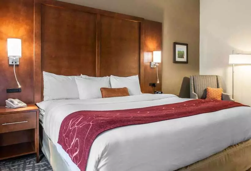 酒店 Comfort Suites