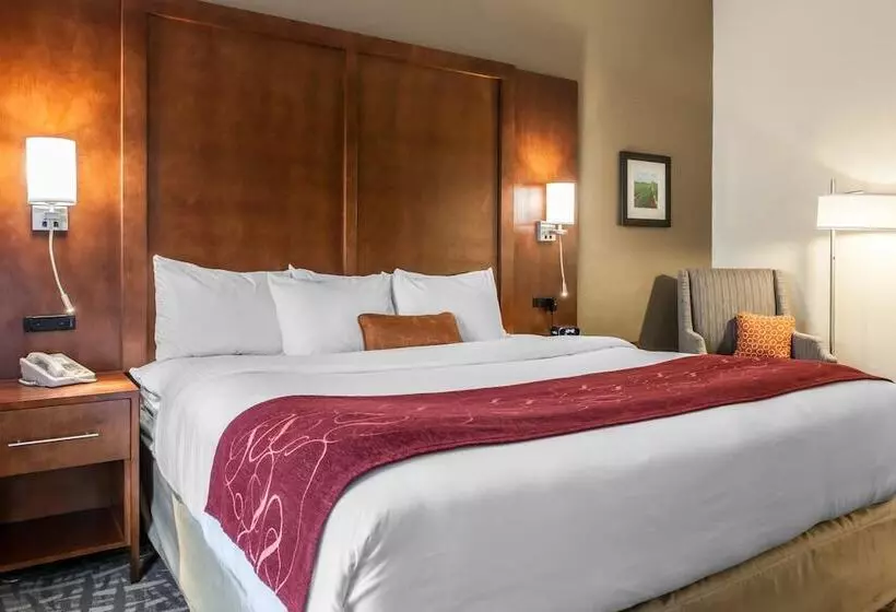 酒店 Comfort Suites