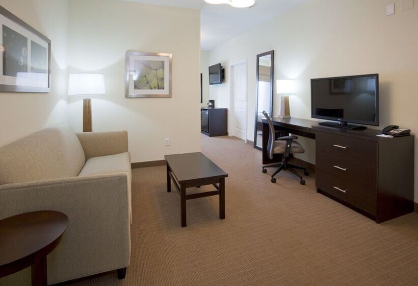 Holiday Inn Express Hotel & Suites Rogers, An Ihg