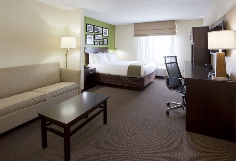Holiday Inn Express Hotel & Suites Rogers, An Ihg