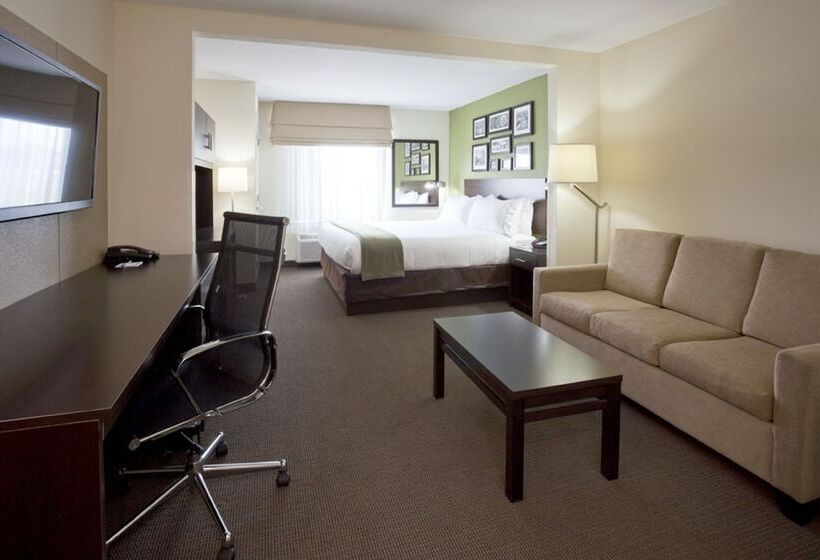 Holiday Inn Express Hotel & Suites Rogers, An Ihg