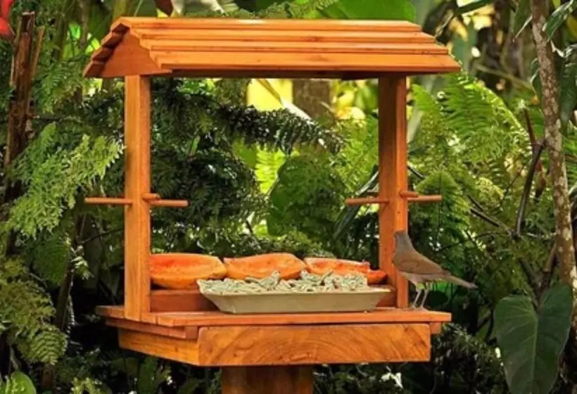 酒店 Pousada Quarto Crescente