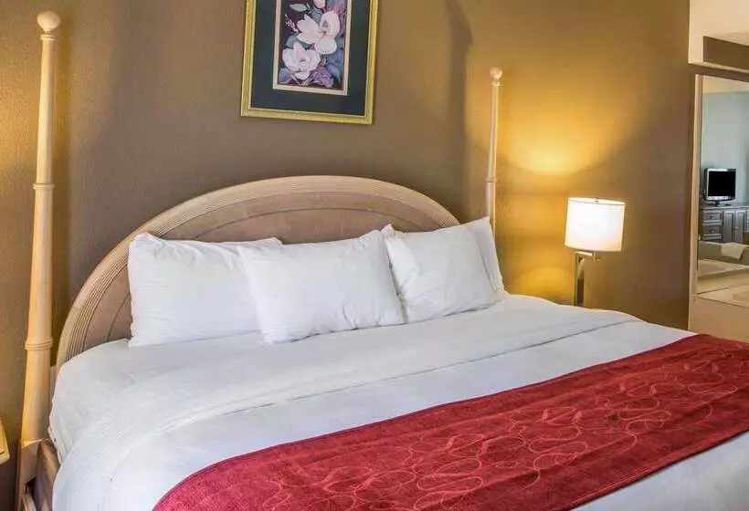 ホテル Quality Suites