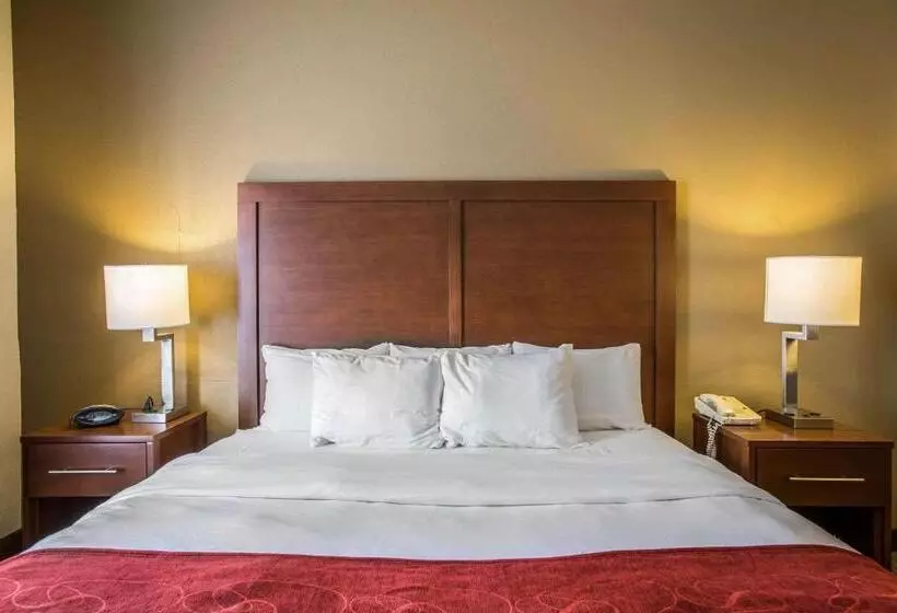 ホテル Quality Suites