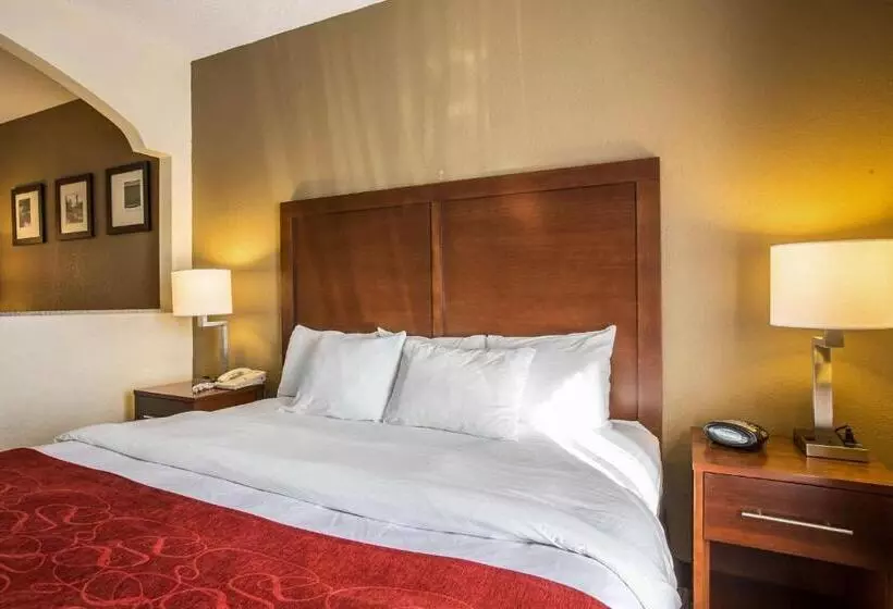 ホテル Quality Suites