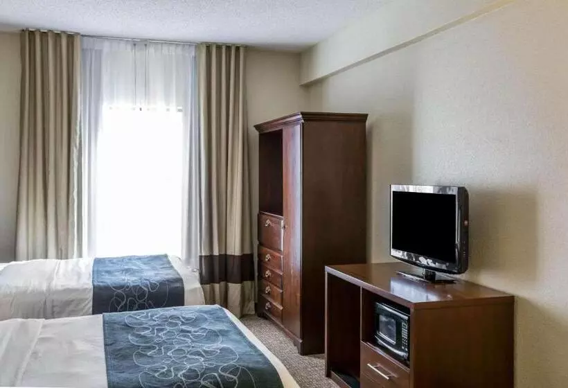 ホテル Quality Suites