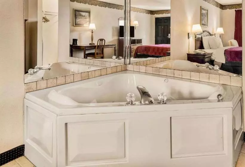 ホテル Rodeway Inn